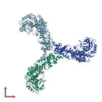 PDB entry 1p0y coloured by chain, front view.