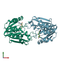 PDB entry 1p1c coloured by chain, front view.