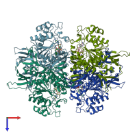 PDB entry 1p1h coloured by chain, top view.