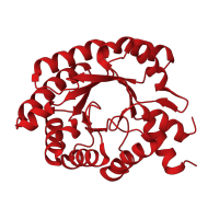 The deposited structure of PDB entry 1p1x contains 2 copies of CATH domain 3.20.20.70 (TIM Barrel) in Deoxyribose-phosphate aldolase. Showing 1 copy in chain B.