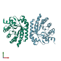 PDB entry 1p1x coloured by chain, front view.