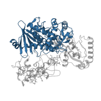 The deposited structure of PDB entry 1p2e contains 1 copy of CATH domain 3.50.50.60 (FAD/NAD(P)-binding domain) in Fumarate reductase flavoprotein subunit. Showing 1 copy in chain A.
