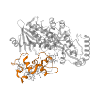 The deposited structure of PDB entry 1p2e contains 1 copy of Pfam domain PF14537 (Cytochrome c3) in Fumarate reductase flavoprotein subunit. Showing 1 copy in chain A.