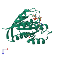 PDB entry 1p2s coloured by chain, top view.