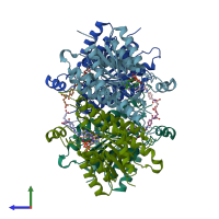 PDB entry 1p33 coloured by chain, side view.