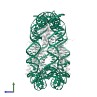 Palindromic 146bp Human Alpha-Satellite DNA fragment in PDB entry 1p34, assembly 1, side view.