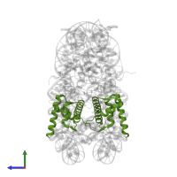 Histone H2B 1.1 in PDB entry 1p34, assembly 1, side view.
