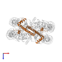 Histone H3.2 in PDB entry 1p3a, assembly 1, top view.