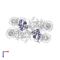 Histone H4 in PDB entry 1p3a, assembly 1, top view.