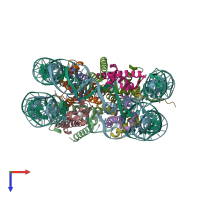 PDB 1p3i coloured by chain and viewed from the top.