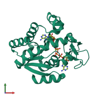 PDB entry 1p3j coloured by chain, front view.