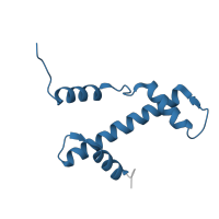 The deposited structure of PDB entry 1p3m contains 2 copies of Pfam domain PF00125 (Core histone H2A/H2B/H3/H4) in Histone H3.2. Showing 1 copy in chain C [auth A].