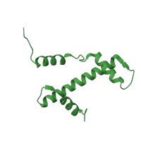 The deposited structure of PDB entry 1p3m contains 2 copies of SCOP domain 47114 (Nucleosome core histones) in Histone H3.2. Showing 1 copy in chain C [auth A].