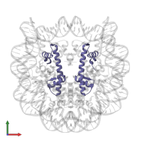 Histone H4 in PDB entry 1p3m, assembly 1, front view.