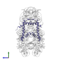 Histone H4 in PDB entry 1p3m, assembly 1, side view.
