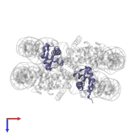 Histone H4 in PDB entry 1p3m, assembly 1, top view.