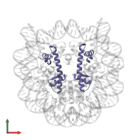 Histone H4 in PDB entry 1p3o, assembly 1, front view.