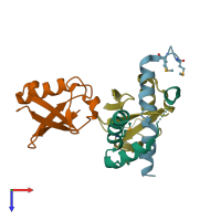 PDB entry 1p3q coloured by chain, top view.