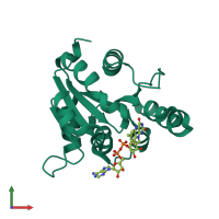 PDB entry 1p3y coloured by chain, front view.
