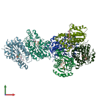 PDB entry 1p44 coloured by chain, front view.