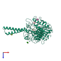 PDB entry 1p49 coloured by chain, top view.