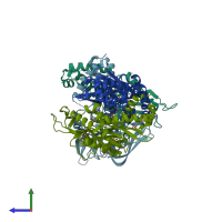 PDB entry 1p4a coloured by chain, side view.