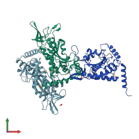 PDB entry 1p4d coloured by chain, front view.