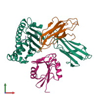 PDB entry 1p4l coloured by chain, front view.