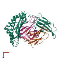 PDB entry 1p4l coloured by chain, top view.