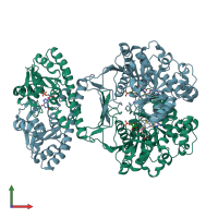 PDB entry 1p4r coloured by chain, front view.