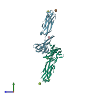 PDB entry 1p53 coloured by chain, side view.