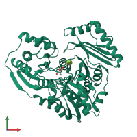 PDB entry 1p5d coloured by chain, front view.