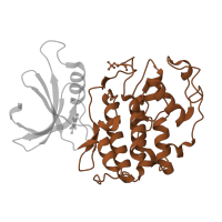The deposited structure of PDB entry 1p5e contains 2 copies of CATH domain 1.10.510.10 (Transferase(Phosphotransferase); domain 1) in Cyclin-dependent kinase 2. Showing 1 copy in chain A.
