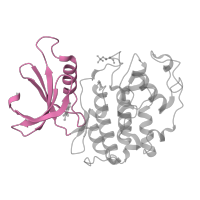 The deposited structure of PDB entry 1p5e contains 2 copies of CATH domain 3.30.200.20 (Phosphorylase Kinase; domain 1) in Cyclin-dependent kinase 2. Showing 1 copy in chain A.