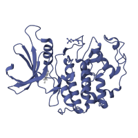 The deposited structure of PDB entry 1p5e contains 2 copies of SCOP domain 88854 (Protein kinases, catalytic subunit) in Cyclin-dependent kinase 2. Showing 1 copy in chain A.