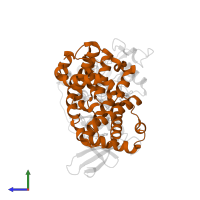 Cyclin-A2 in PDB entry 1p5e, assembly 1, side view.