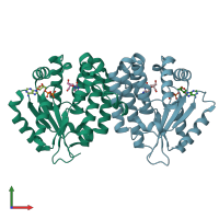 PDB entry 1p60 coloured by chain, front view.