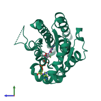 PDB entry 1p62 coloured by chain, side view.