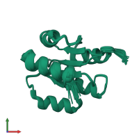 PDB entry 1p6q coloured by chain, ensemble of 16 models, front view.