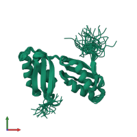 PDB entry 1p6t coloured by chain, ensemble of 30 models, front view.