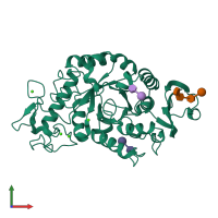 3D model of 1p6w from PDBe