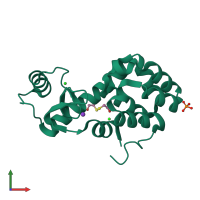 PDB entry 1p6y coloured by chain, front view.