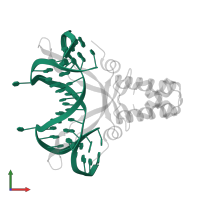 5'-D(*TP*GP*CP*TP*TP*AP*TP*CP*AP*AP*TP*TP*TP*GP*TP*TP*GP*CP*AP*CP*C)-3' in PDB entry 1p71, assembly 1, front view.