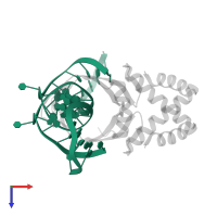 5'-D(*TP*GP*CP*TP*TP*AP*TP*CP*AP*AP*TP*TP*TP*GP*TP*TP*GP*CP*AP*CP*C)-3' in PDB entry 1p71, assembly 1, top view.