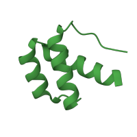 The deposited structure of PDB entry 1p7i contains 4 copies of SCOP domain 46690 (Homeodomain) in Segmentation polarity homeobox protein engrailed. Showing 1 copy in chain D.