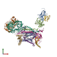 PDB entry 1p84 coloured by chain, front view.