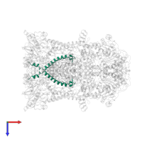 Cytochrome b-c1 complex subunit 9, mitochondrial in PDB entry 1p84, assembly 1, top view.