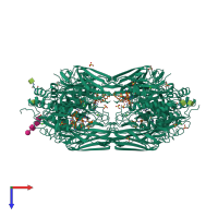 Hetero octameric assembly 2 of PDB entry 1p8j coloured by chemically distinct molecules, top view.