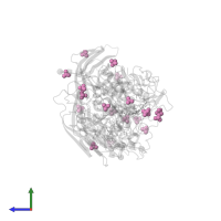 SULFATE ION in PDB entry 1p8j, assembly 11, side view.