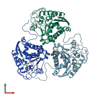 PDB entry 1p8q coloured by chain, front view.